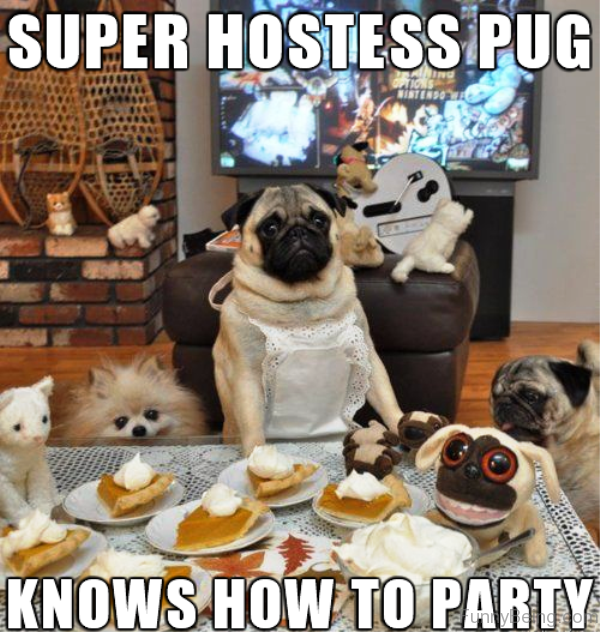 Super Hostess Pug