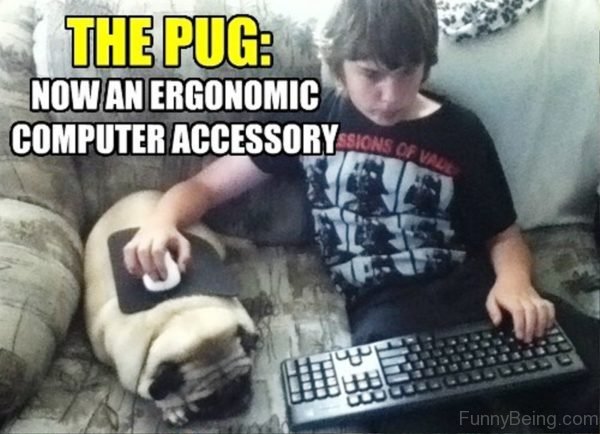 The Pug