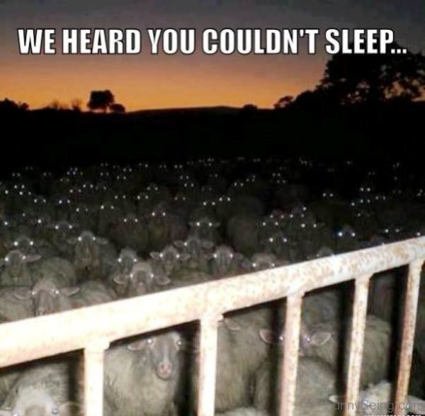 We Heard You Couldnt Sleep