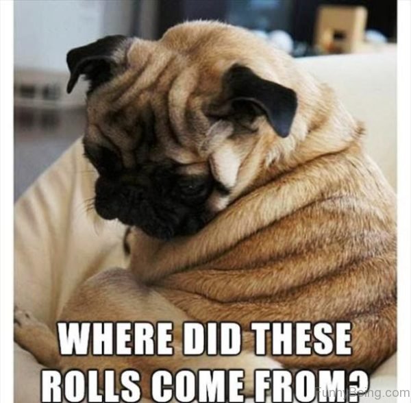 Where Did These Rolls Come From