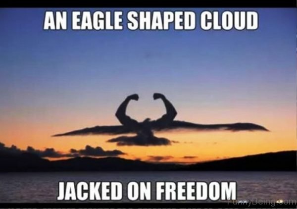An Eagle Shaped Cloud