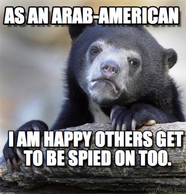 As An Arab American