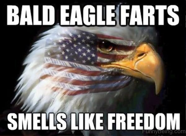 Bald Eagle Farts