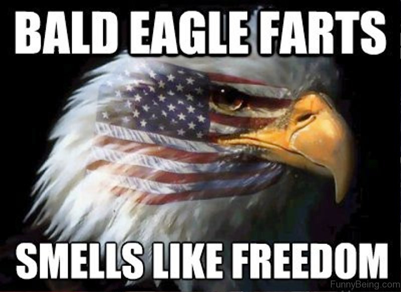 Bald Eagle Farts.