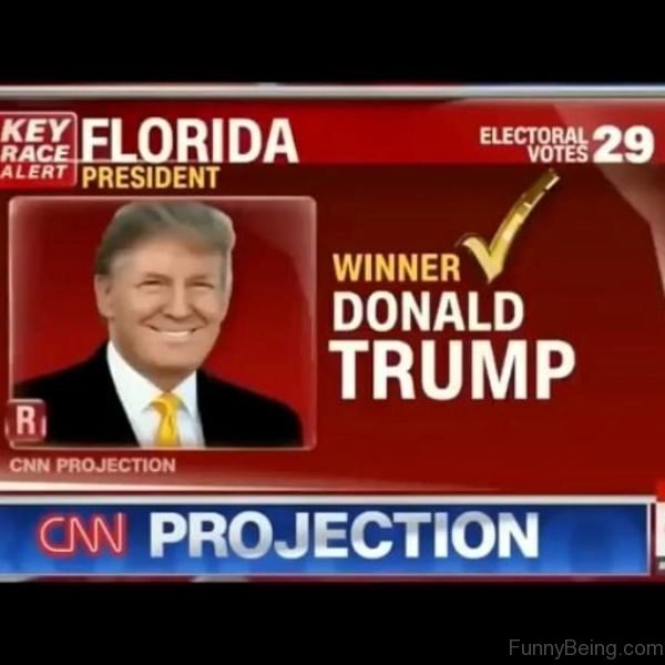 CNN Projection