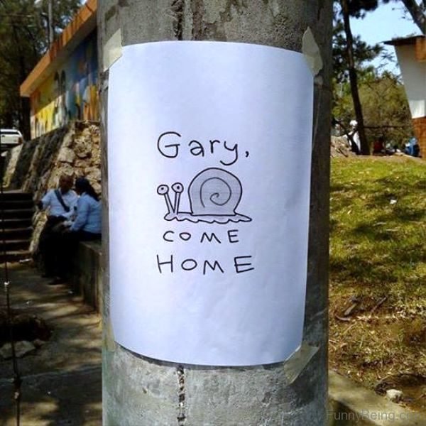 Gary Come Home