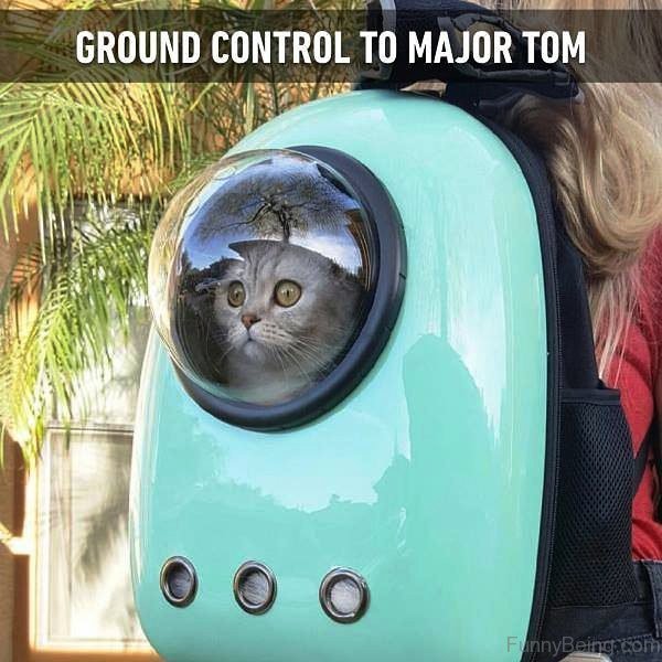 Ground Control To Major Tom