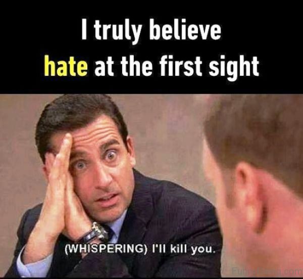 I Truly Believe Hate At The First Sight