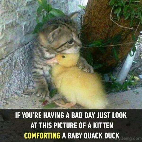 If You re Having A Bad Day