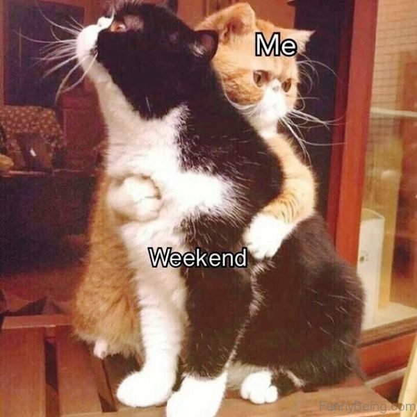 Me And Weekend