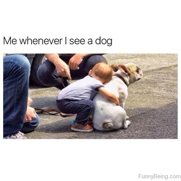 Me Whenever I See A Dog