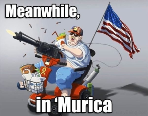 Meanwhile In Murica