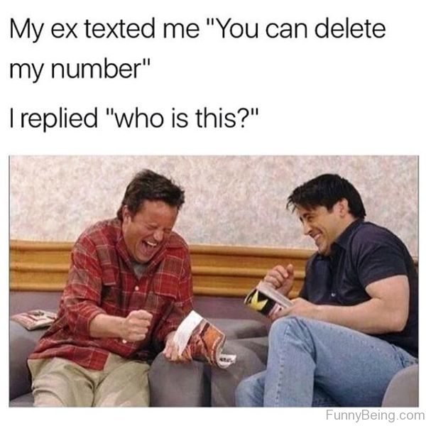 My Ex Texted Me You Can Delete My Number