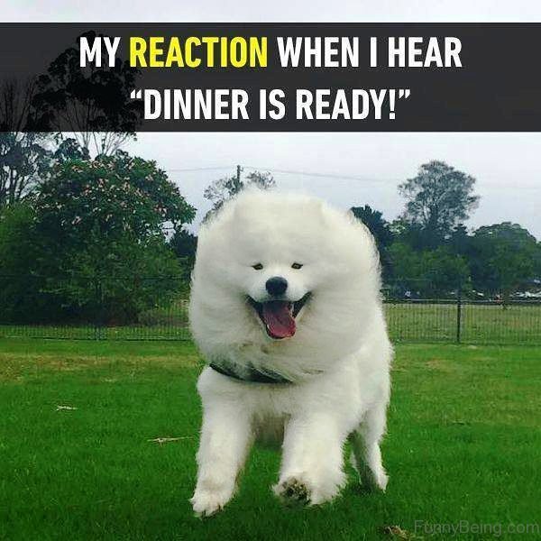 My Reaction When I Hear