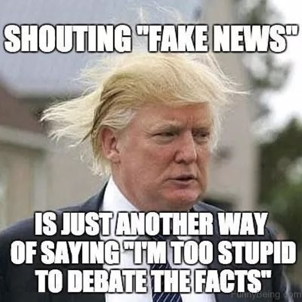 Shouting Fake News