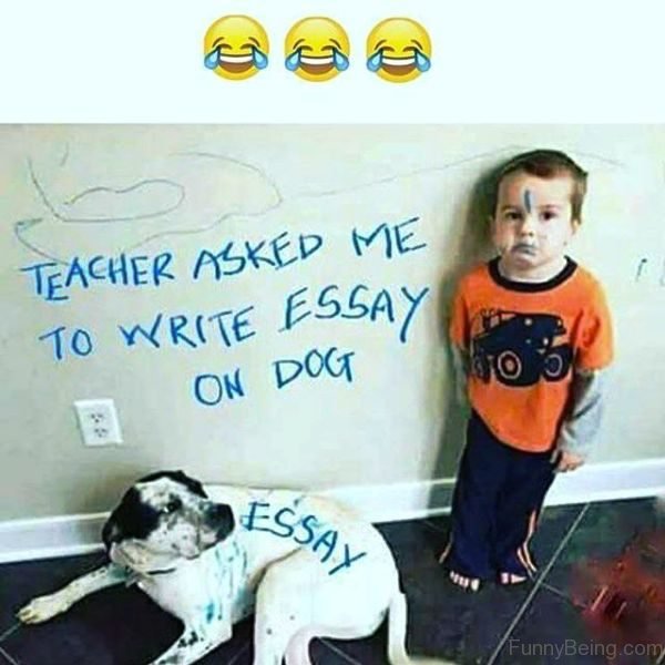 Teacher Asked Me To Write Essay On Dog