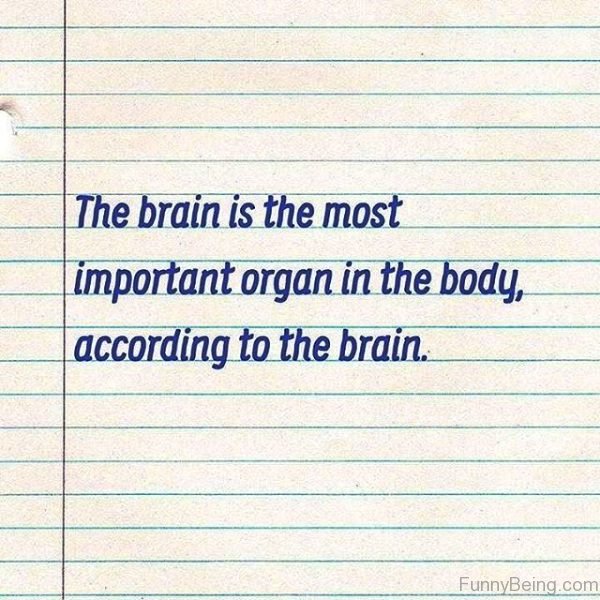 The Brain Is The Most Important Organ