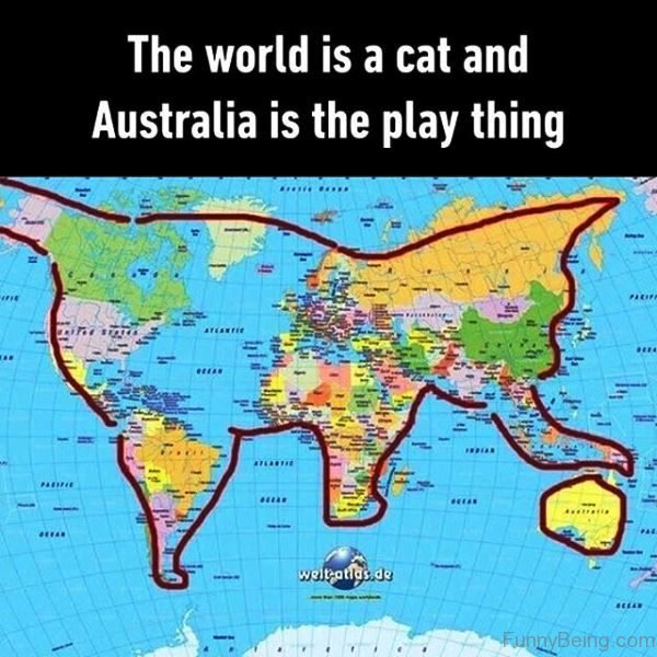 The World Is A Cat