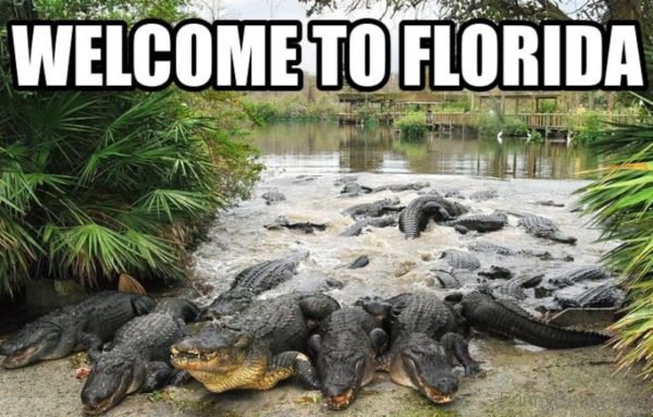 Welcome To Florida