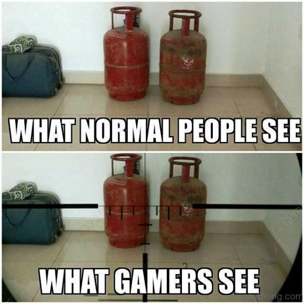 What Normal People Vs Gamers See