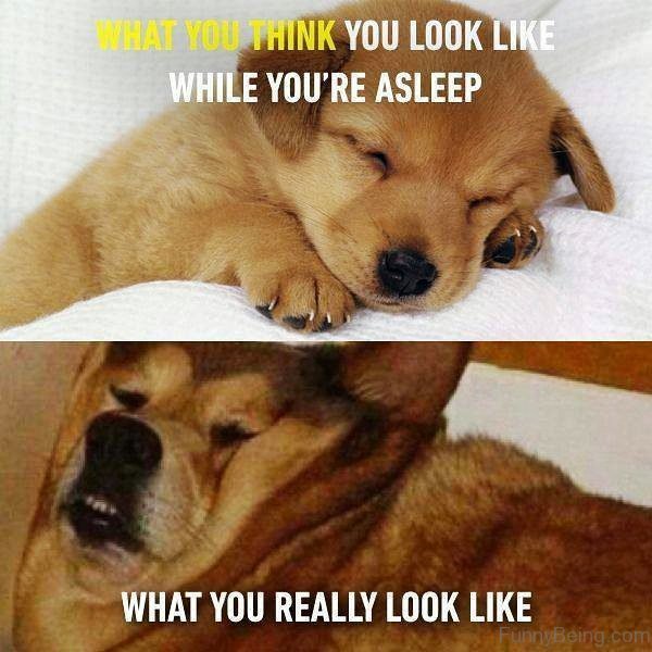 What You Think You Look Like