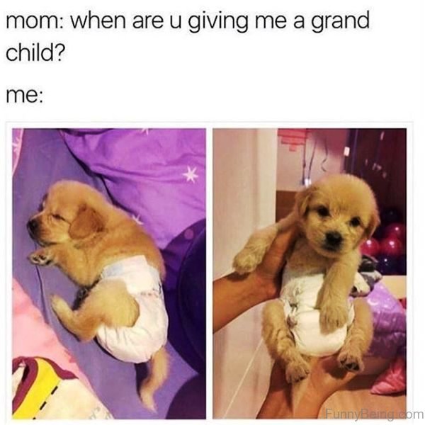 When Are You Giving Me A Grand Child