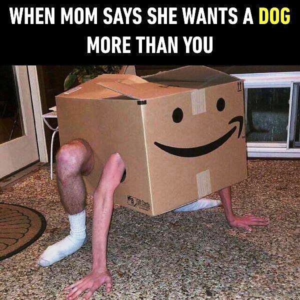 When Mom Says She Wants A Dog