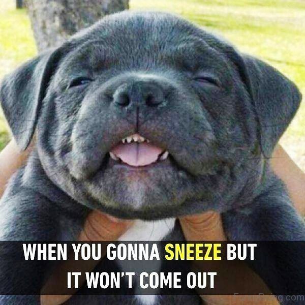 When You Gonna Sneeze
