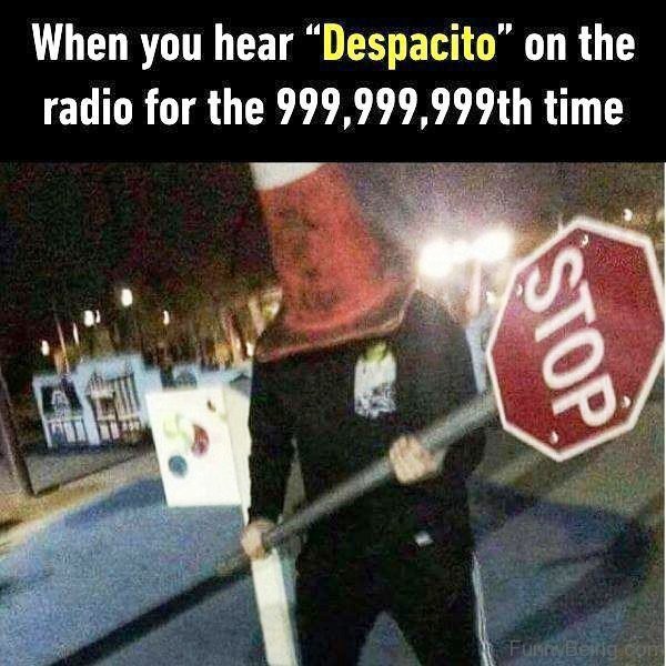 When You Hear Despacito On The Radio