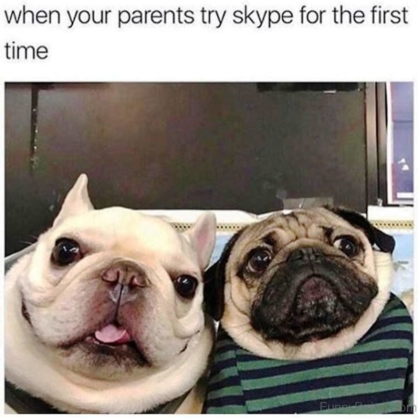 When Your Parents Try Skype