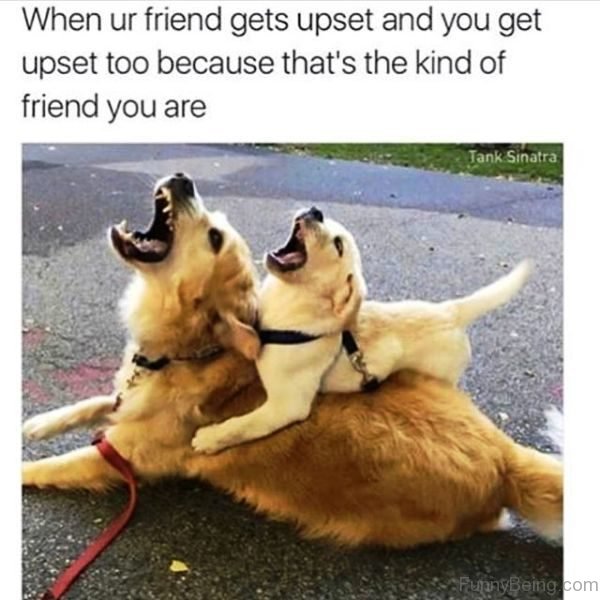 When our Friend Gets Upset