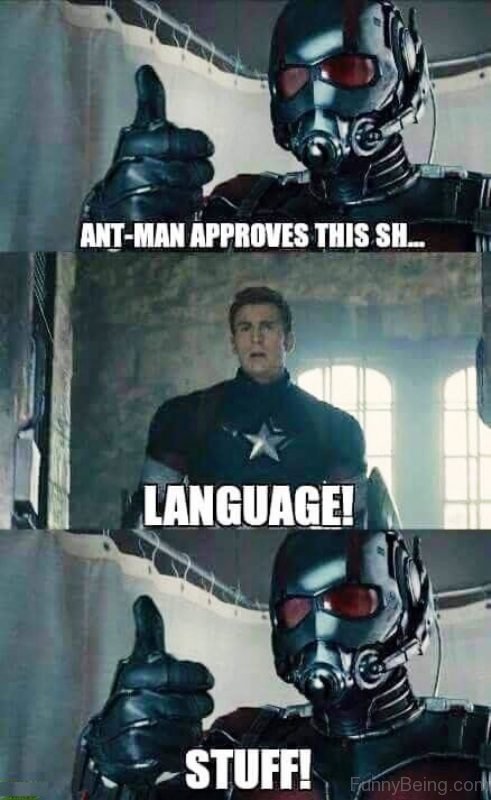 Ant Man Approves