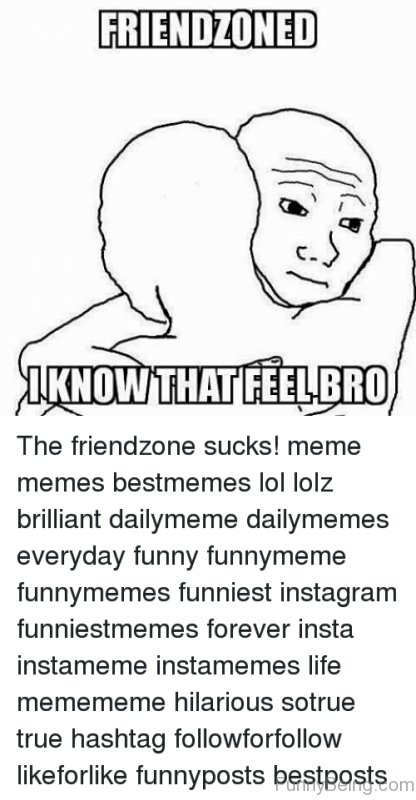 Friendzoned I Know That Feel Bro