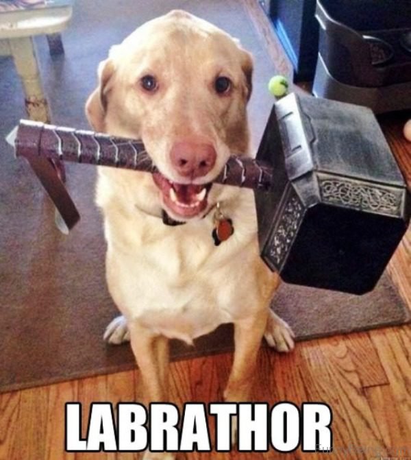 Labrathor