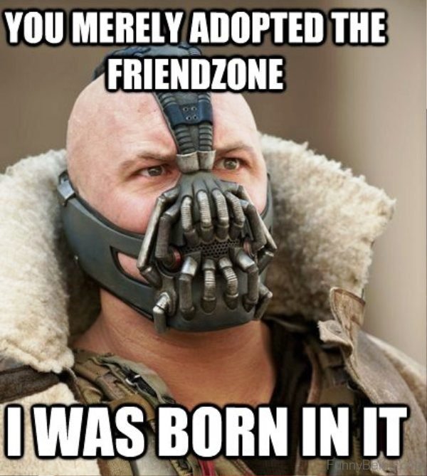 You Merely Adopted The Friendzone