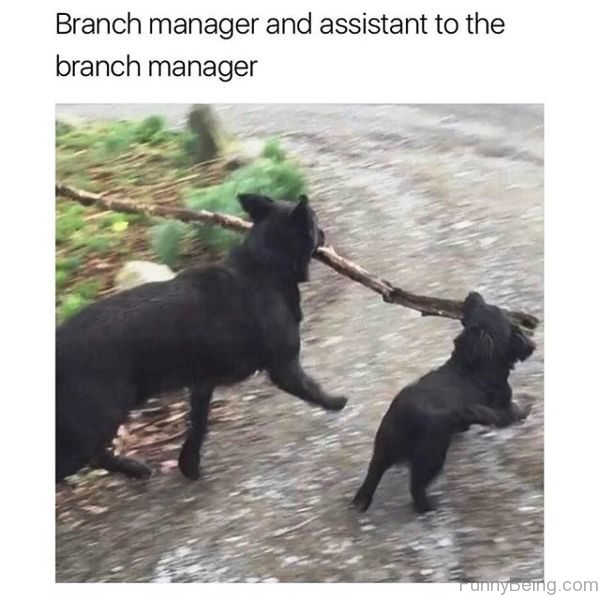 Branch Manager And Assistant