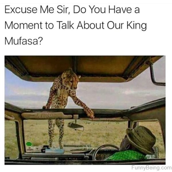 Excuse Me Sir