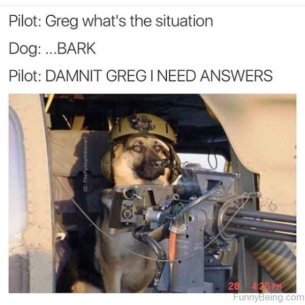 Greg Whats The Situation