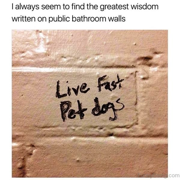 I Always Seem To Find The Greatest Wisdom