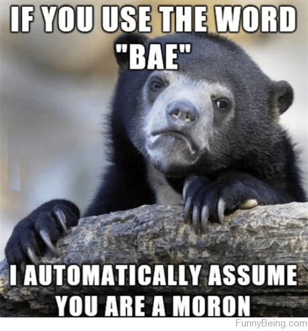 If You Use The Word Bae