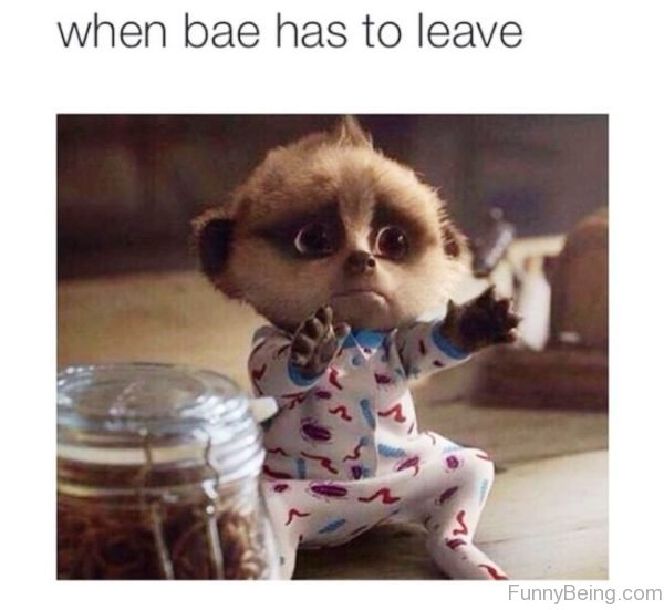 When Bae Has To Leave