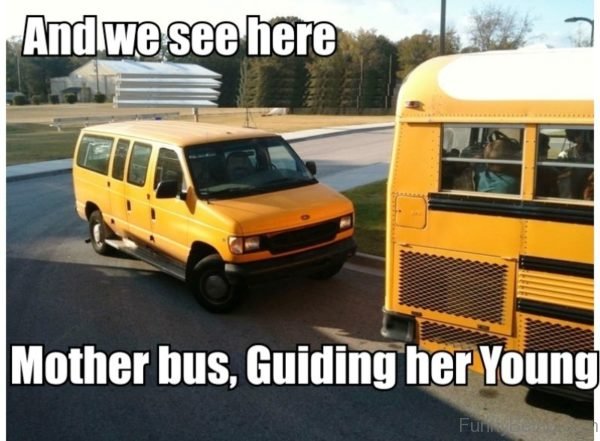 And We See Here Mother Bus Guiding Her Young