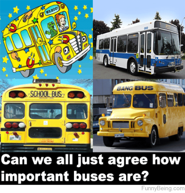 Can We All Just Agree How Important Busses Are