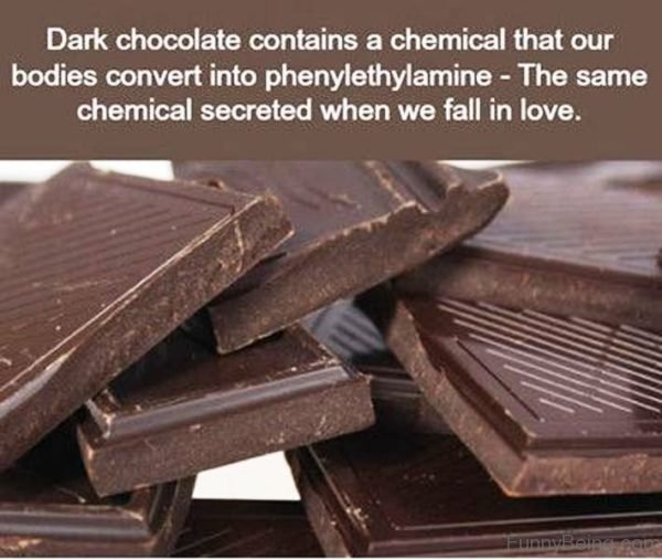 Dark Chocolate Contains A Chemical That Our Bodies