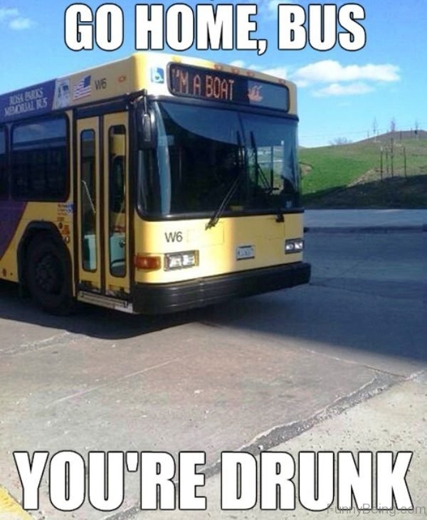 Go Home Bus You Are Drunk