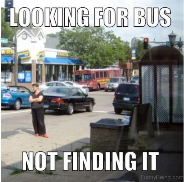 Looking For Bus