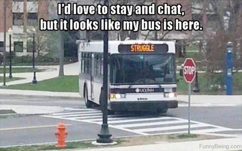 15 Best Bus Memes For You