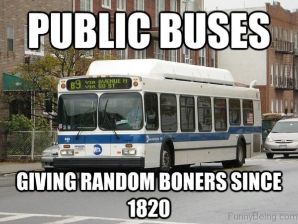 Public Buses