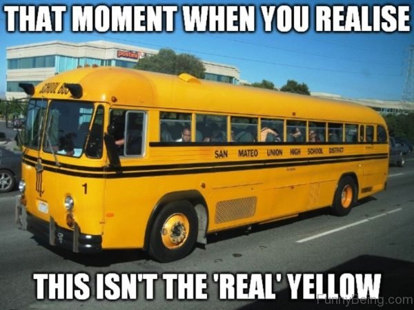 bus trip meme