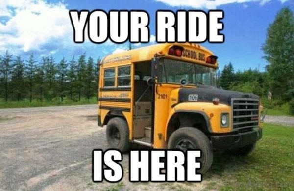 6 Funniest Bus Memes